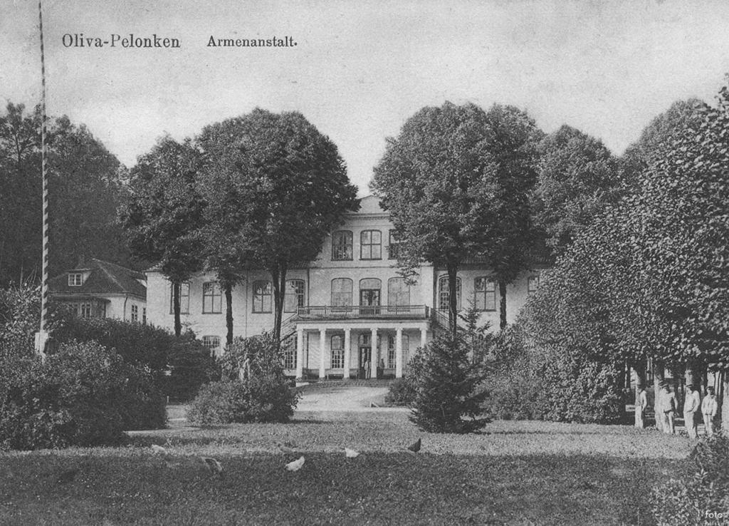 polanki